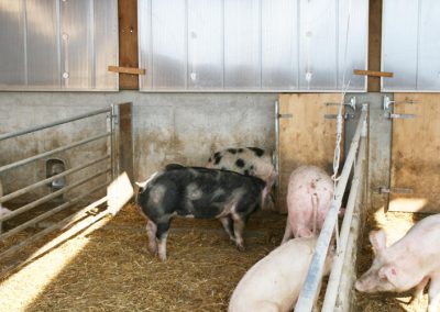 PigPort, Pigport-Stall, Biostall