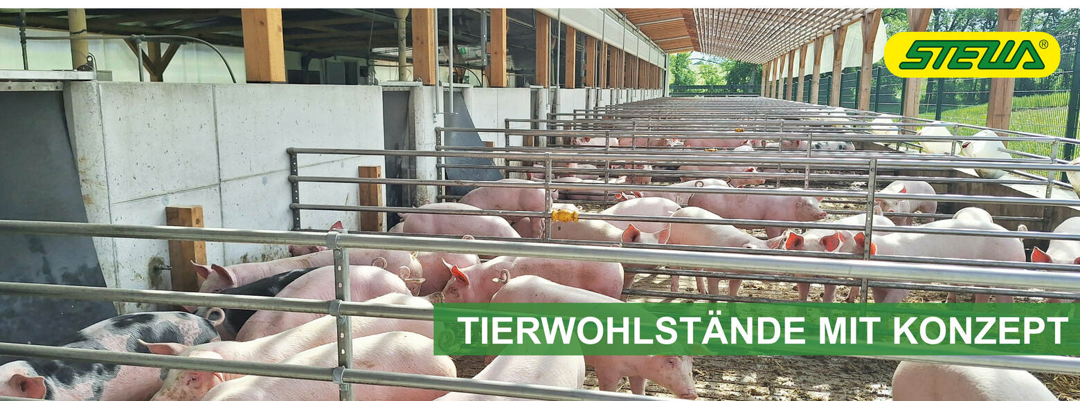 Tierwohlställe mit Konzept